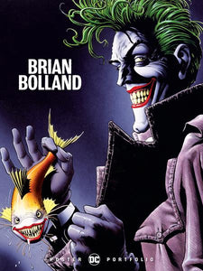 Dc Poster Portfolio Brian Bolland TP - Books