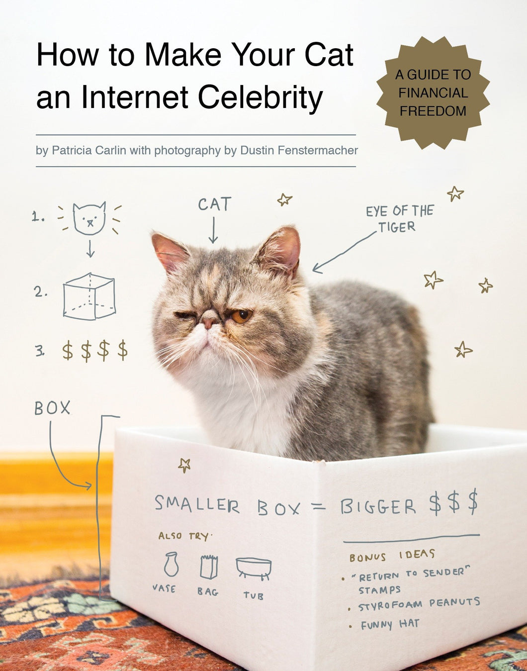 How To Make Your Cat An Internet Celebrity