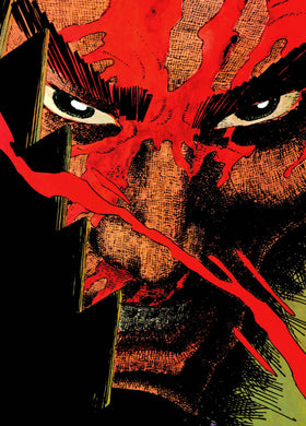 Ronin Deluxe Edition Hc