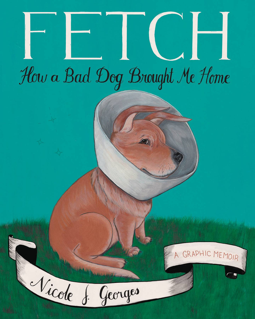 Fetch How A Bad Dog Brought Me Home Gn
