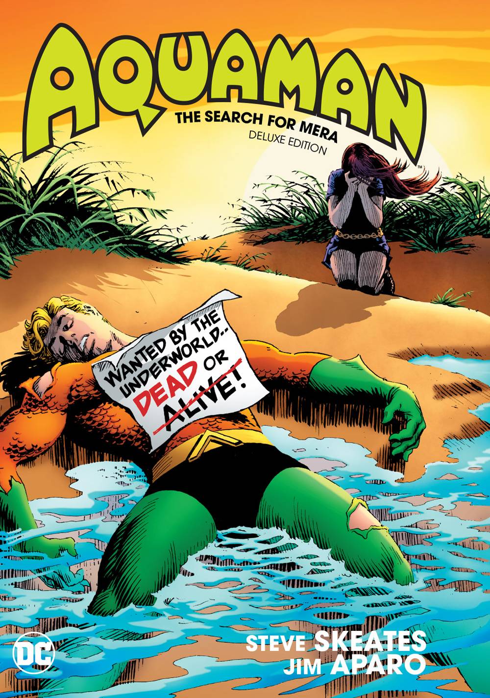 Aquaman The Search For Mera Deluxe Ed Hc