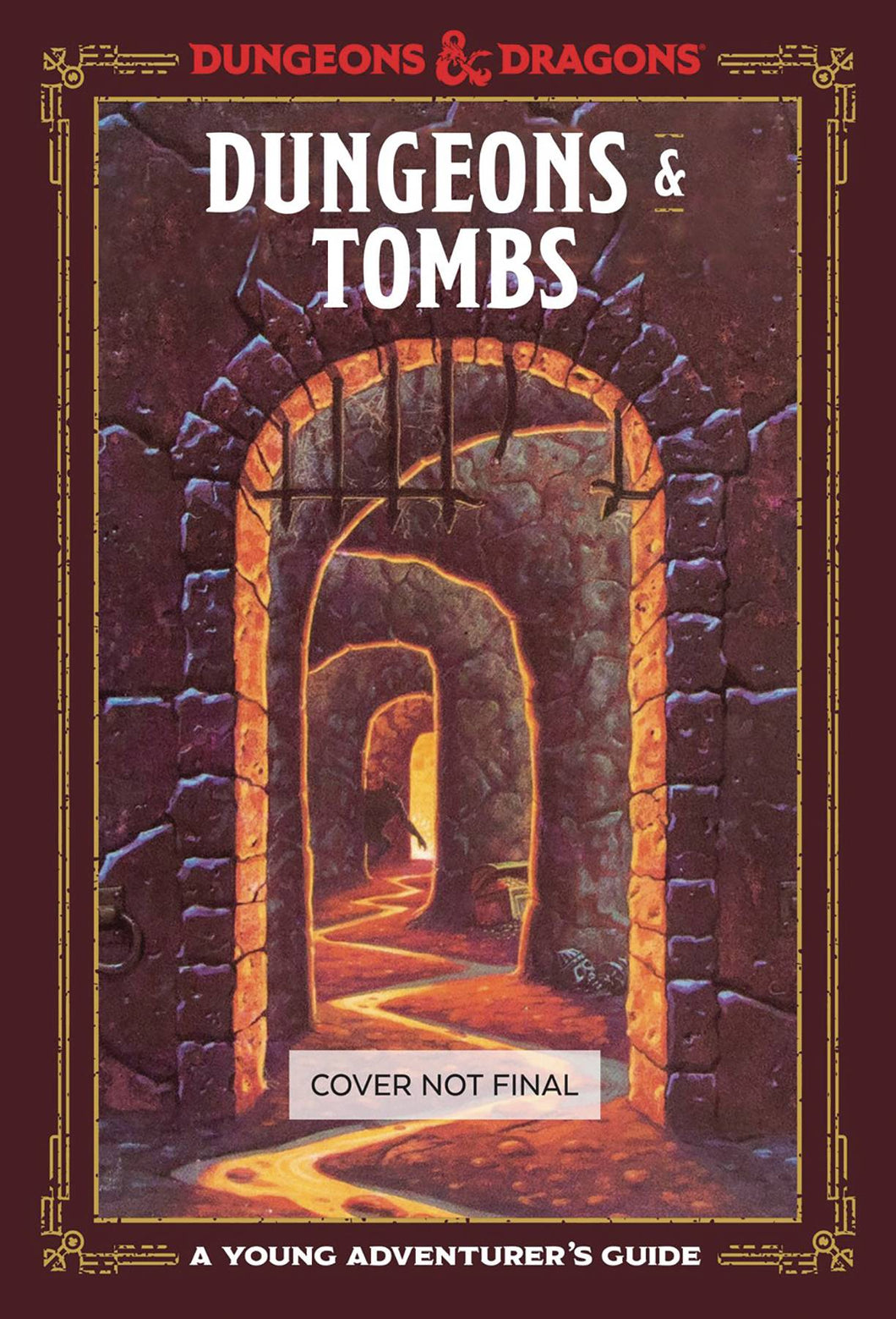 Dungeons & Tombs Young Adventurers Guide D&D Hc
