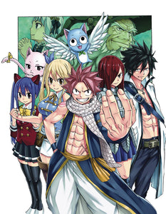 Fairy Tail 100 Years Quest GN Vol 02 - Books