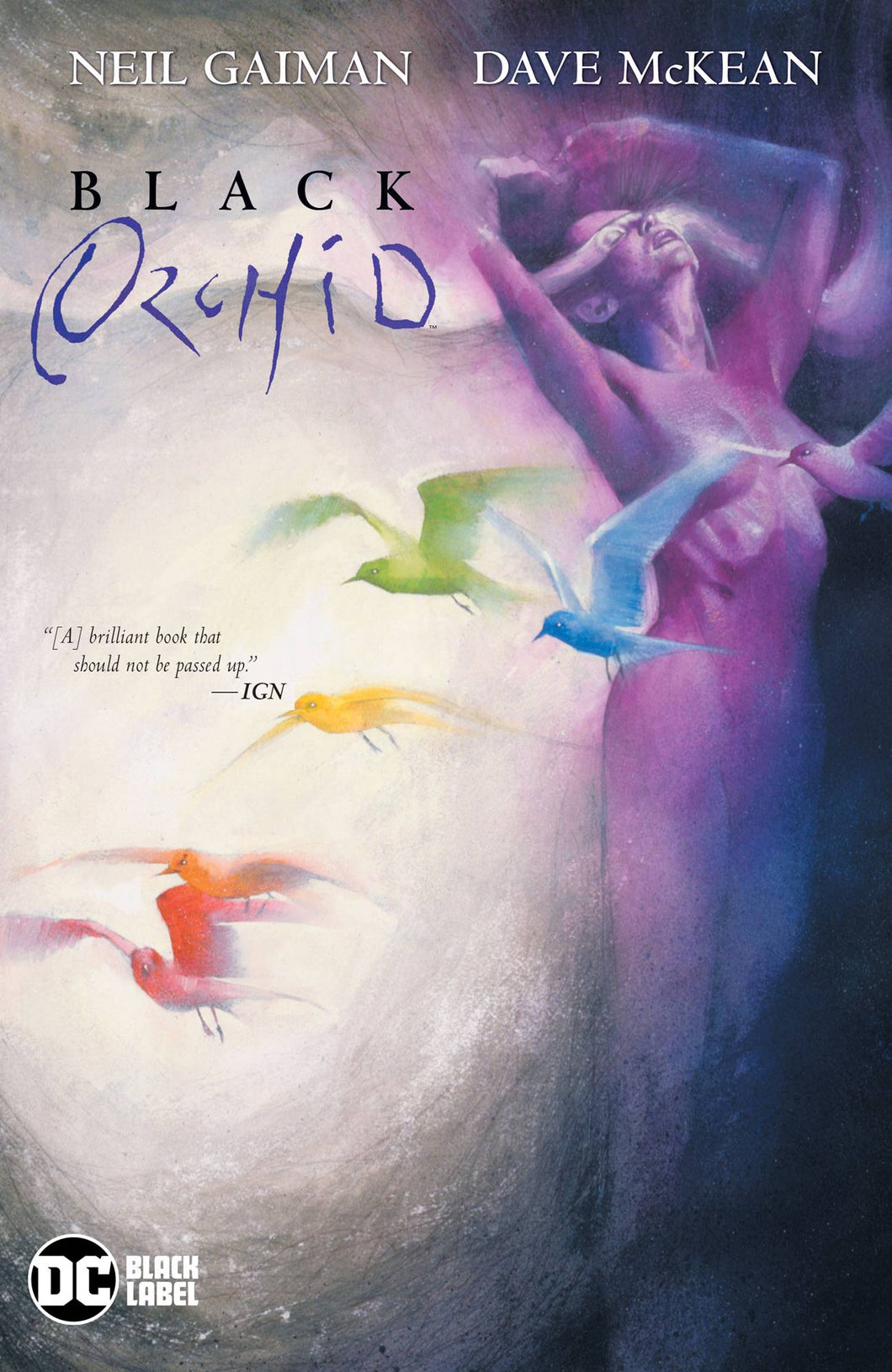 Black Orchid Tp New Edition
