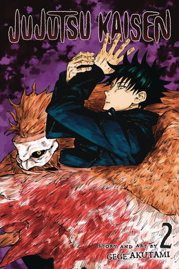 Jujutsu Kaisen Gn Vol 02