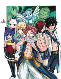 Fairy Tail 100 Years Quest GN Vol 03 - Books