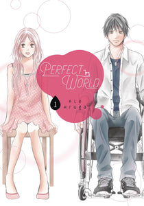 Perfect World Gn Vol 01