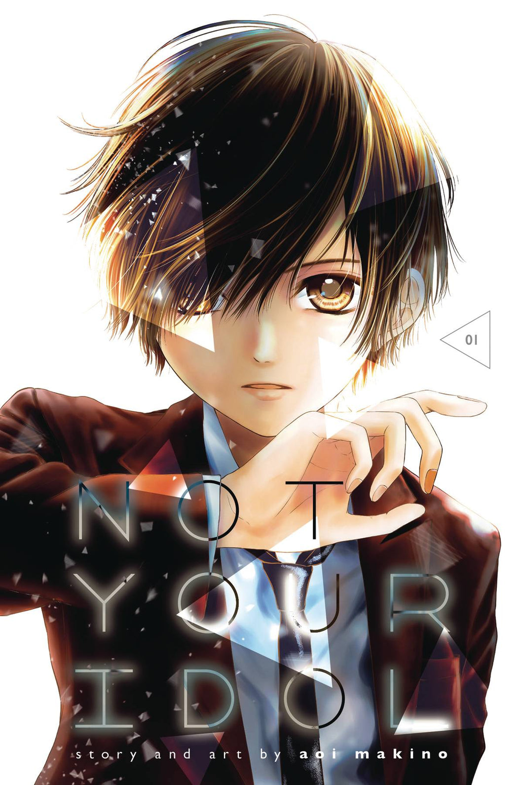 Not Your Idol Gn Vol 01