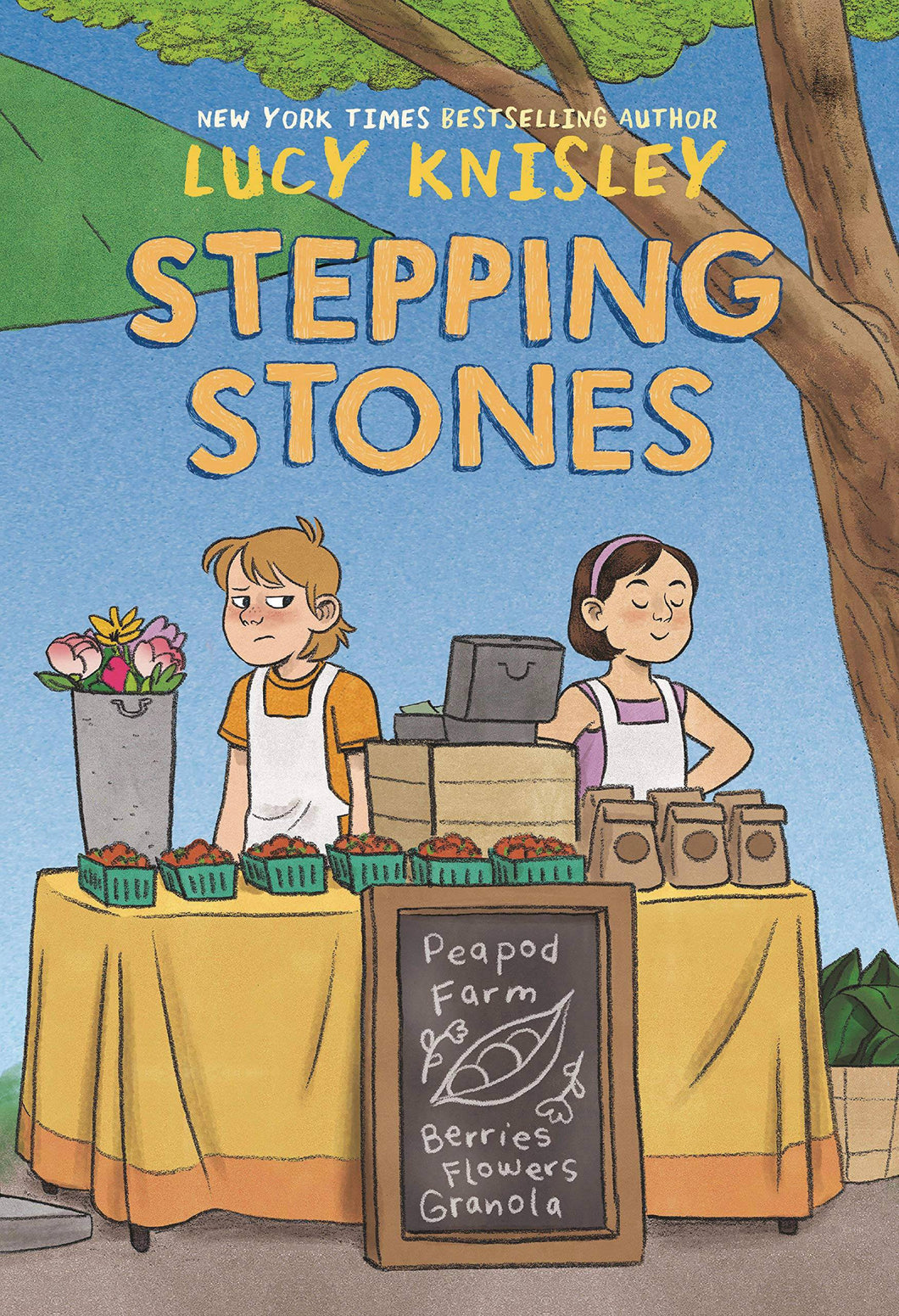 Stepping Stones Gn
