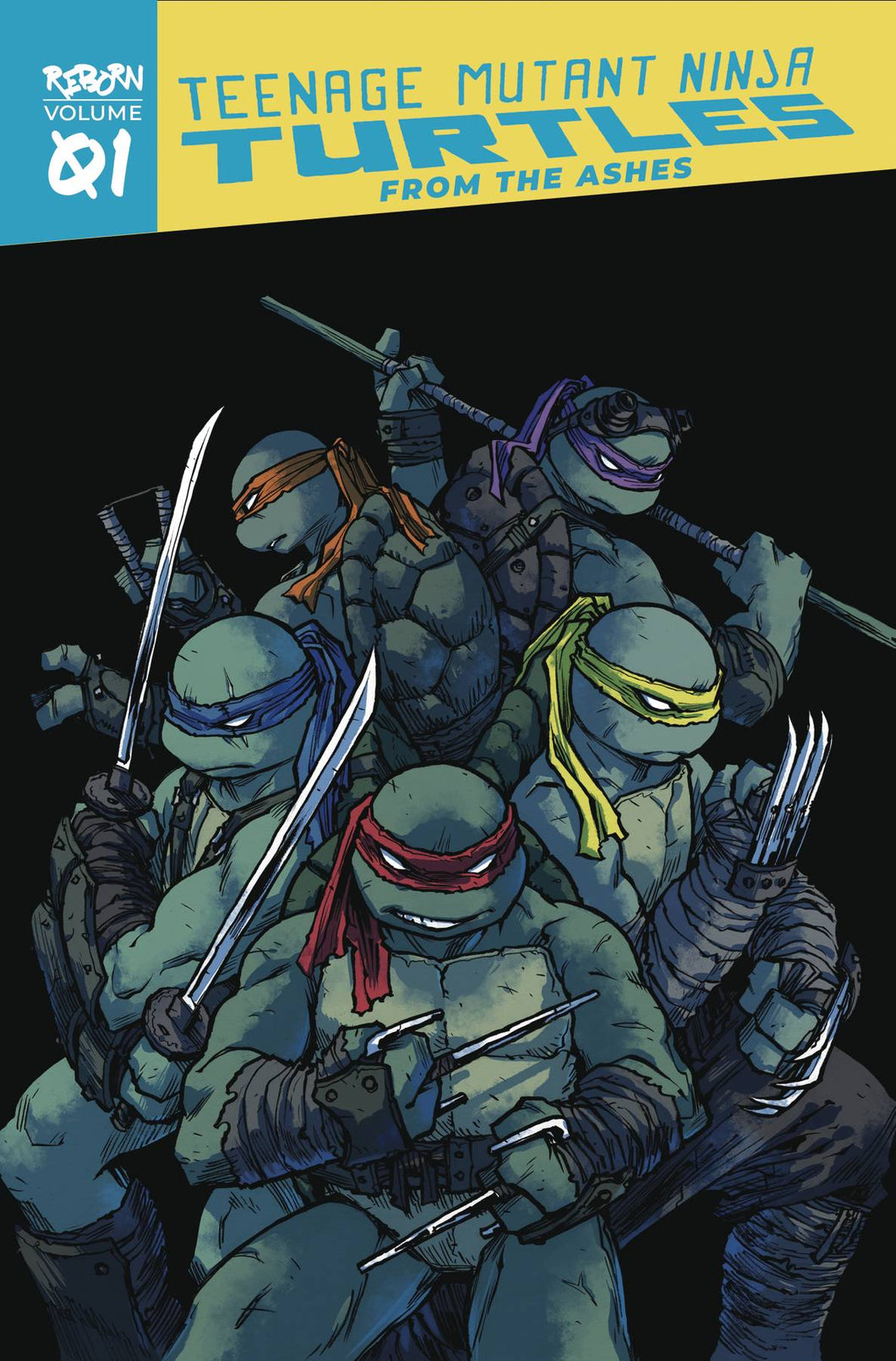 Tmnt Reborn TP Vol 01 From The Ashes - Books