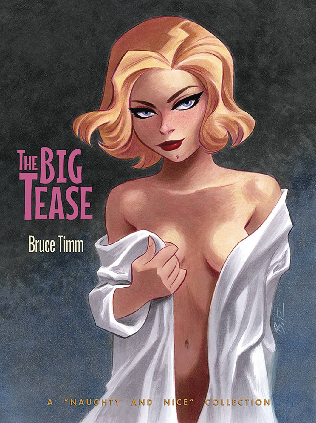 Big Tease Art of Bruce Timm SC - Books