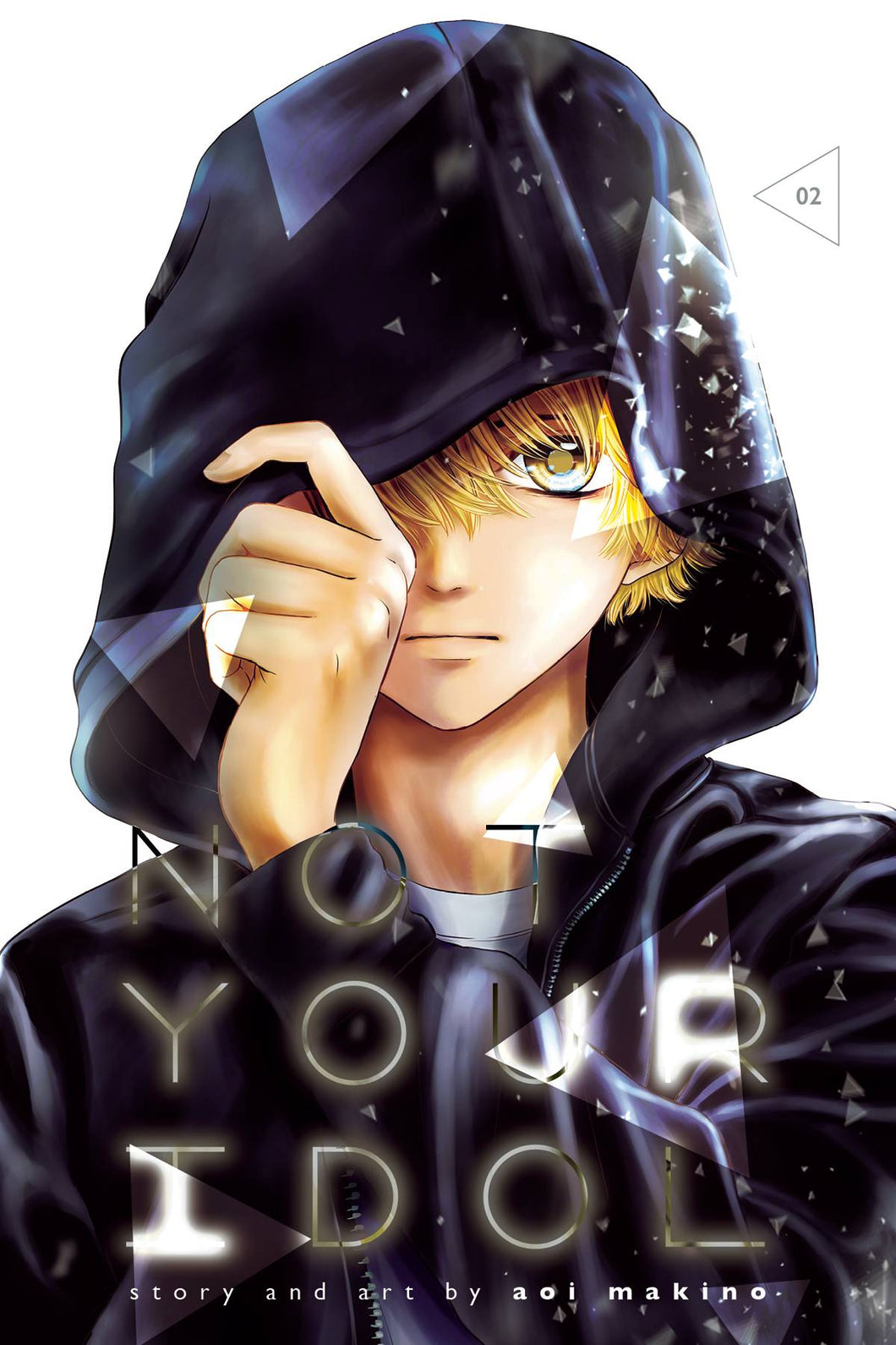 Not Your Idol GN Vol 02 - Books