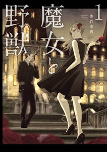 Witch and Beast GN Vol 01 - Books