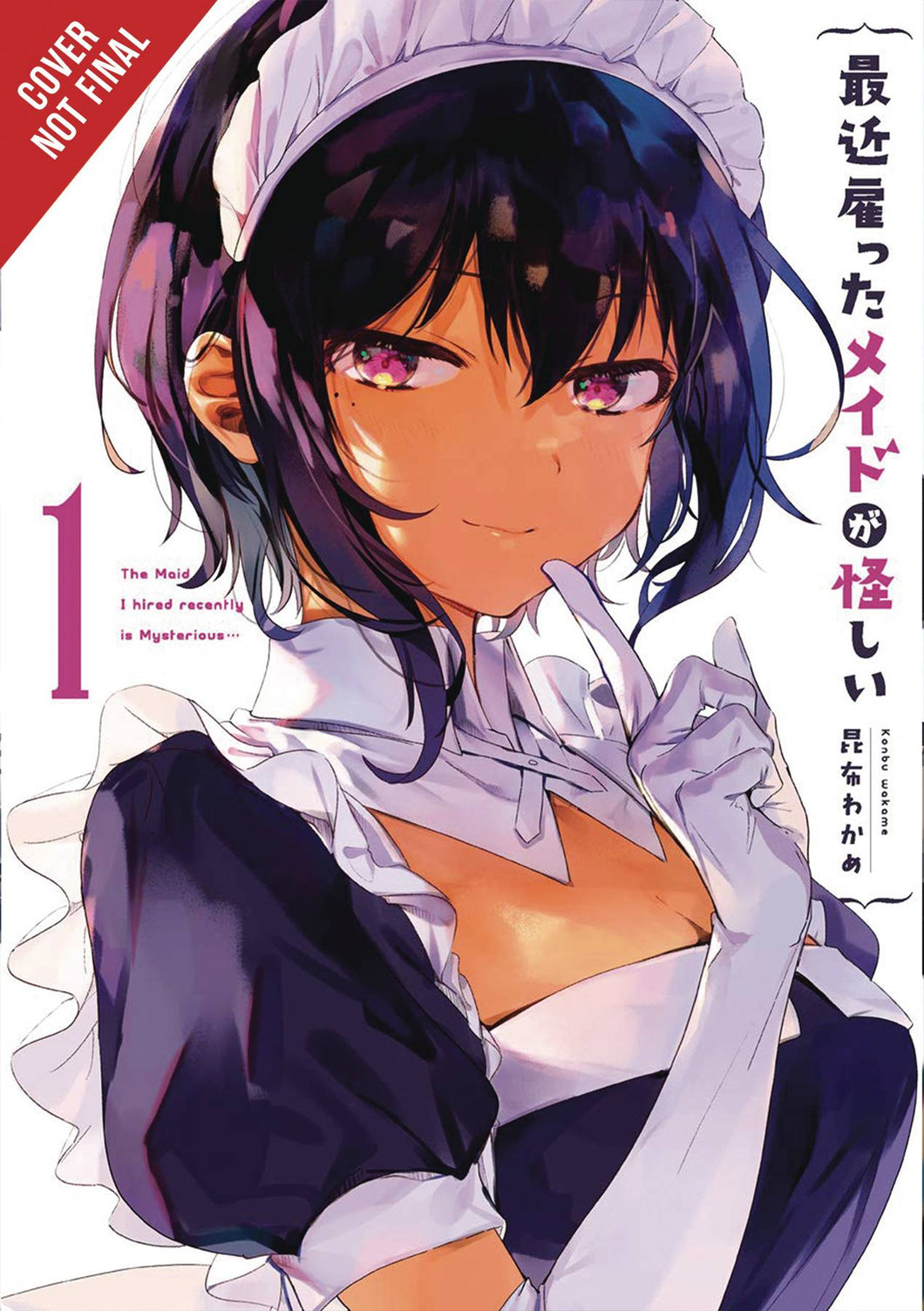 Maid I Hired Recently Is Mysterious Gn Vol 01