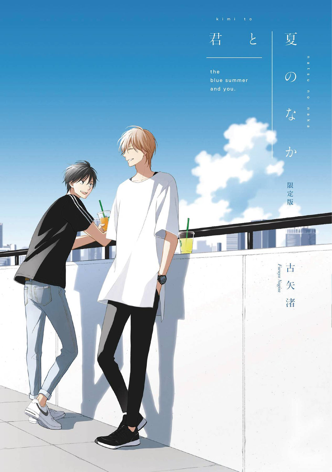 Summer With You GN Vol 02  (of 2) - Books
