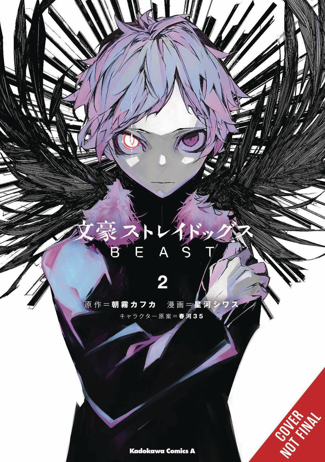 Bungo Stray Dogs Beast GN Vol 02 - Books