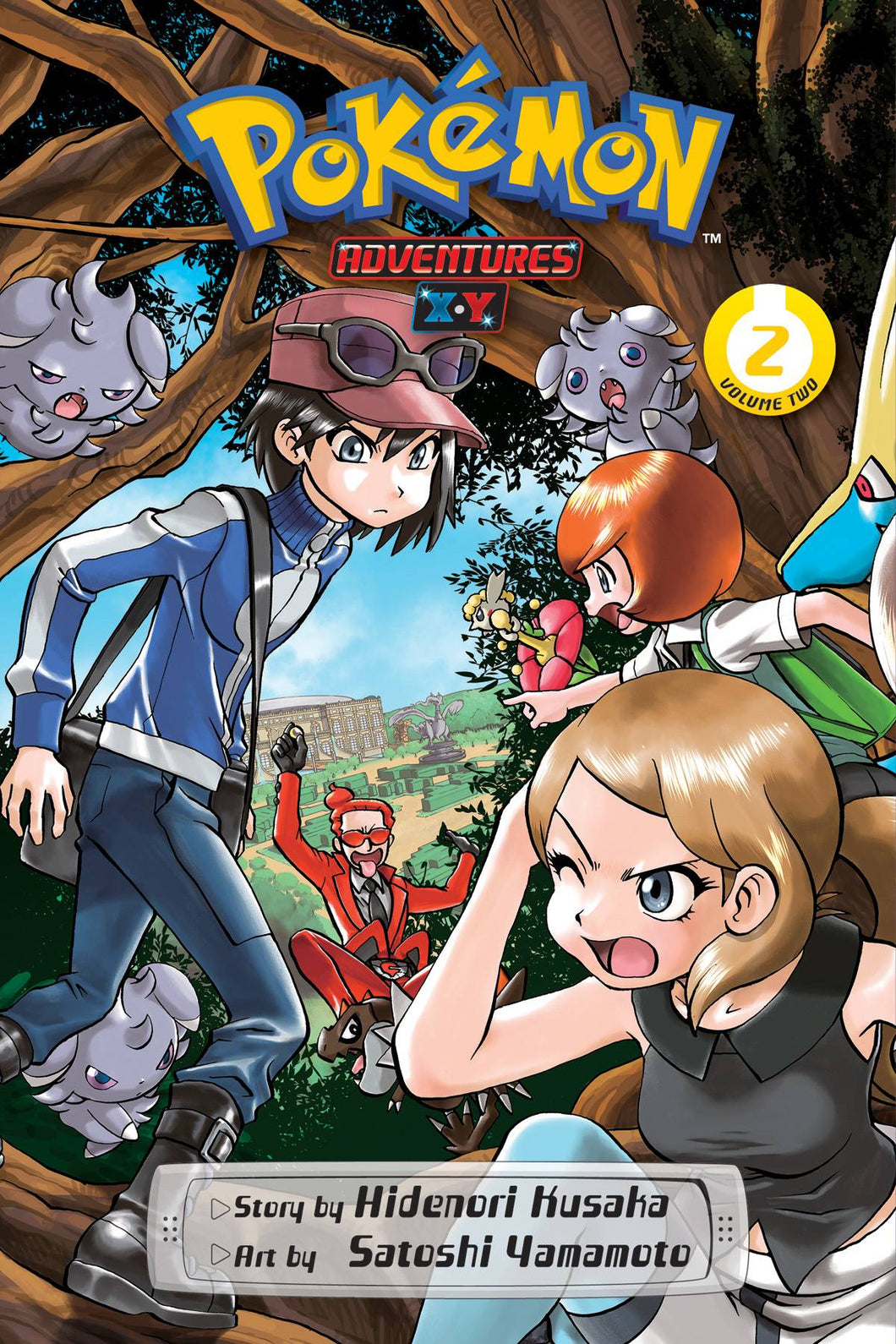 Pokemon Adv X Y GN Vol 02 - Books