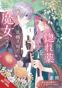 Im A Witch My Crush Wants Love Potion GN Vol 01 - Books