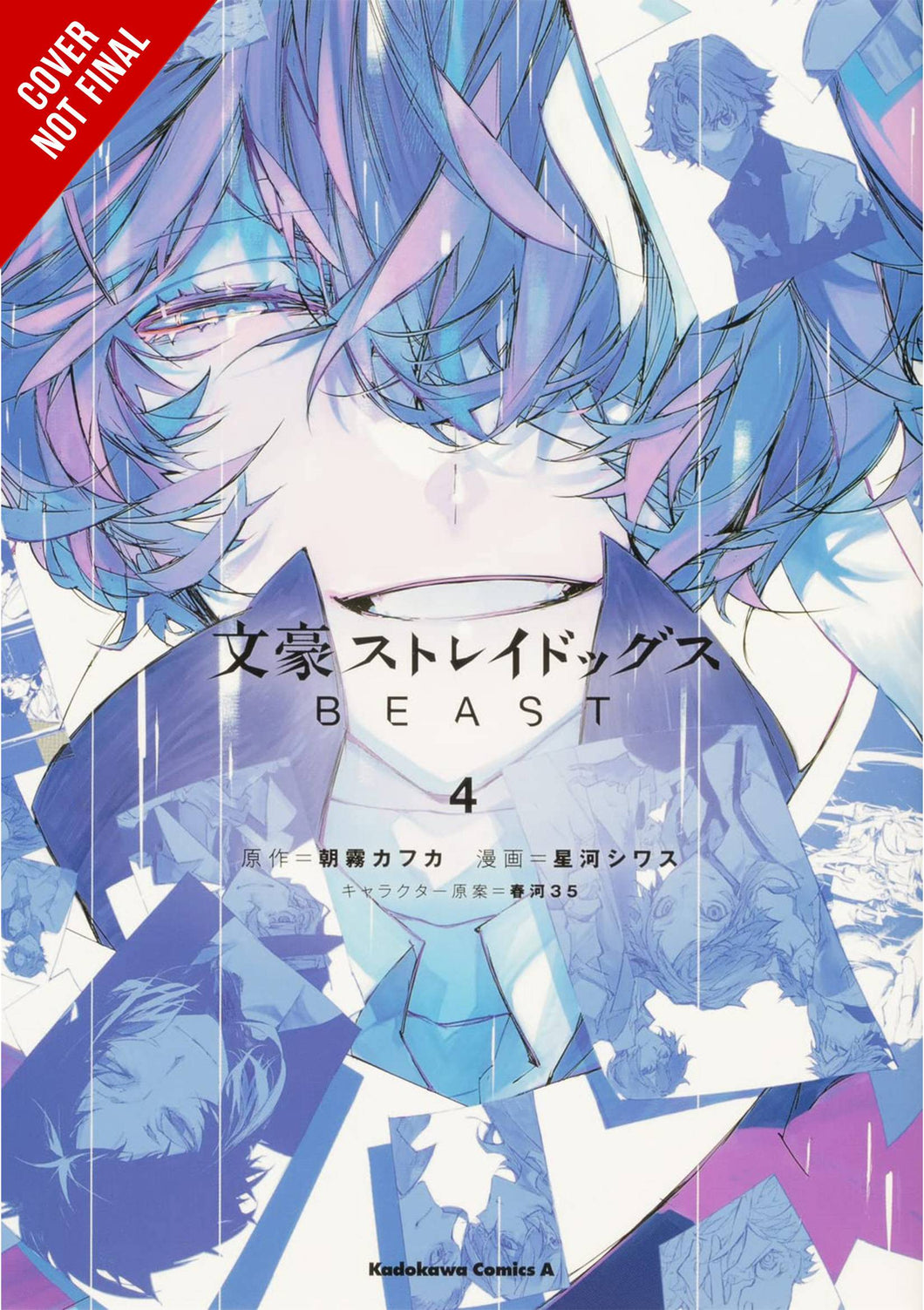 Bungo Stray Dogs Beast GN Vol 04   (of 4) - Books