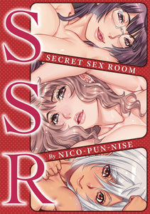 Secret Sex Room GN - Books